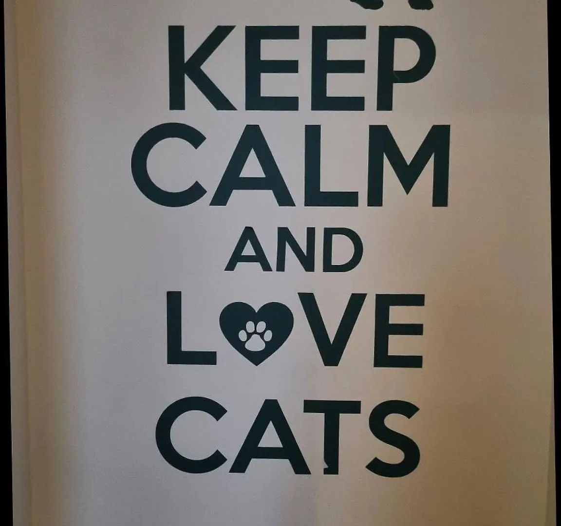 Green Cat Rooms Krakow 0*,