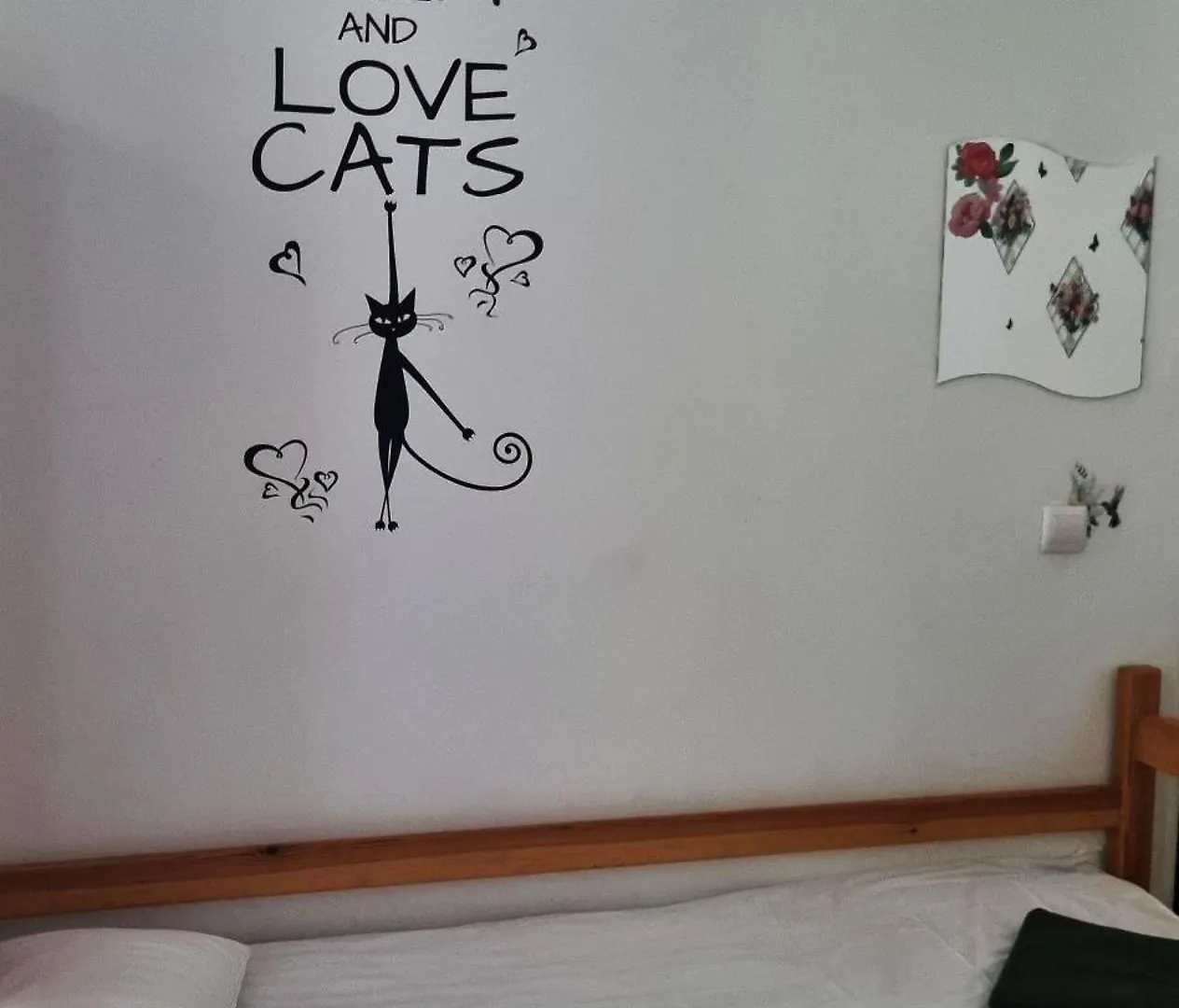 Green Cat Rooms Krakau Hostel