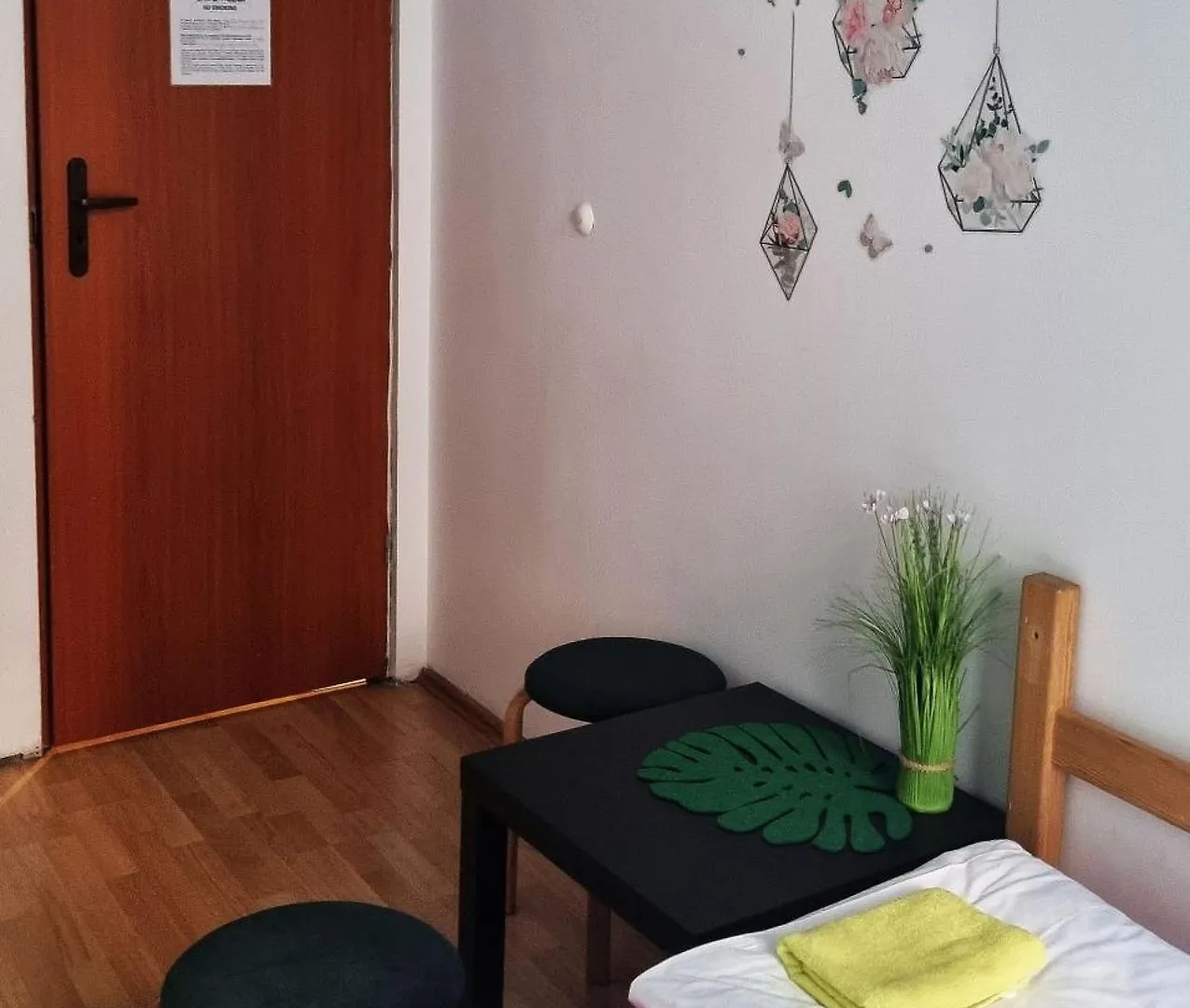 Green Cat Rooms Krakau