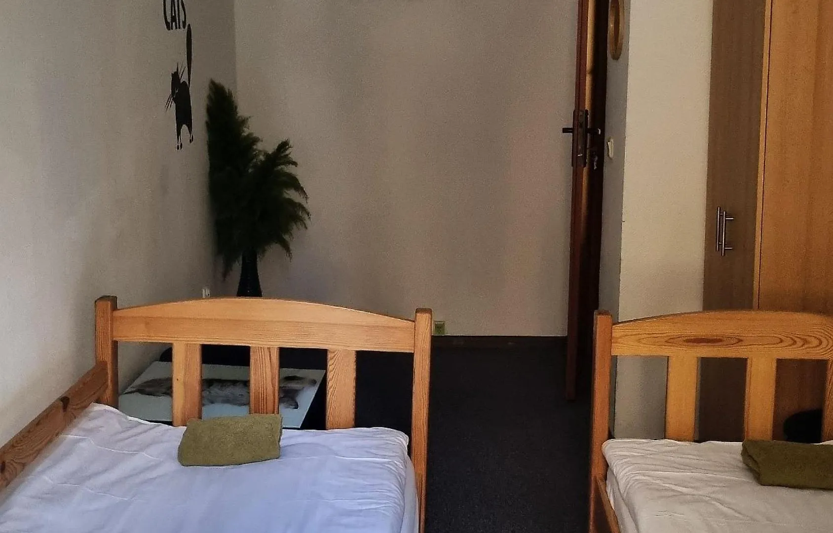 Hostel Green Cat Rooms Krakau