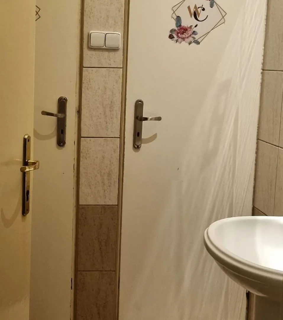 Green Cat Rooms Krakow Polonya
