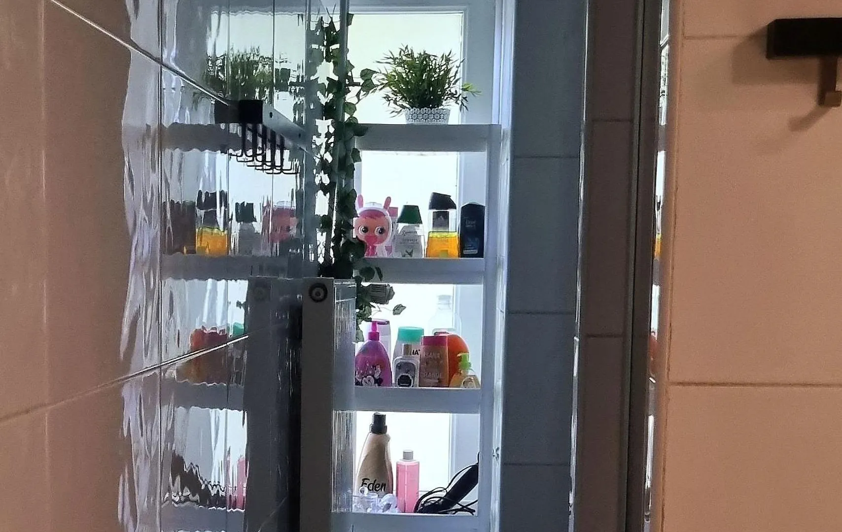 Green Cat Rooms Krakau Hostel