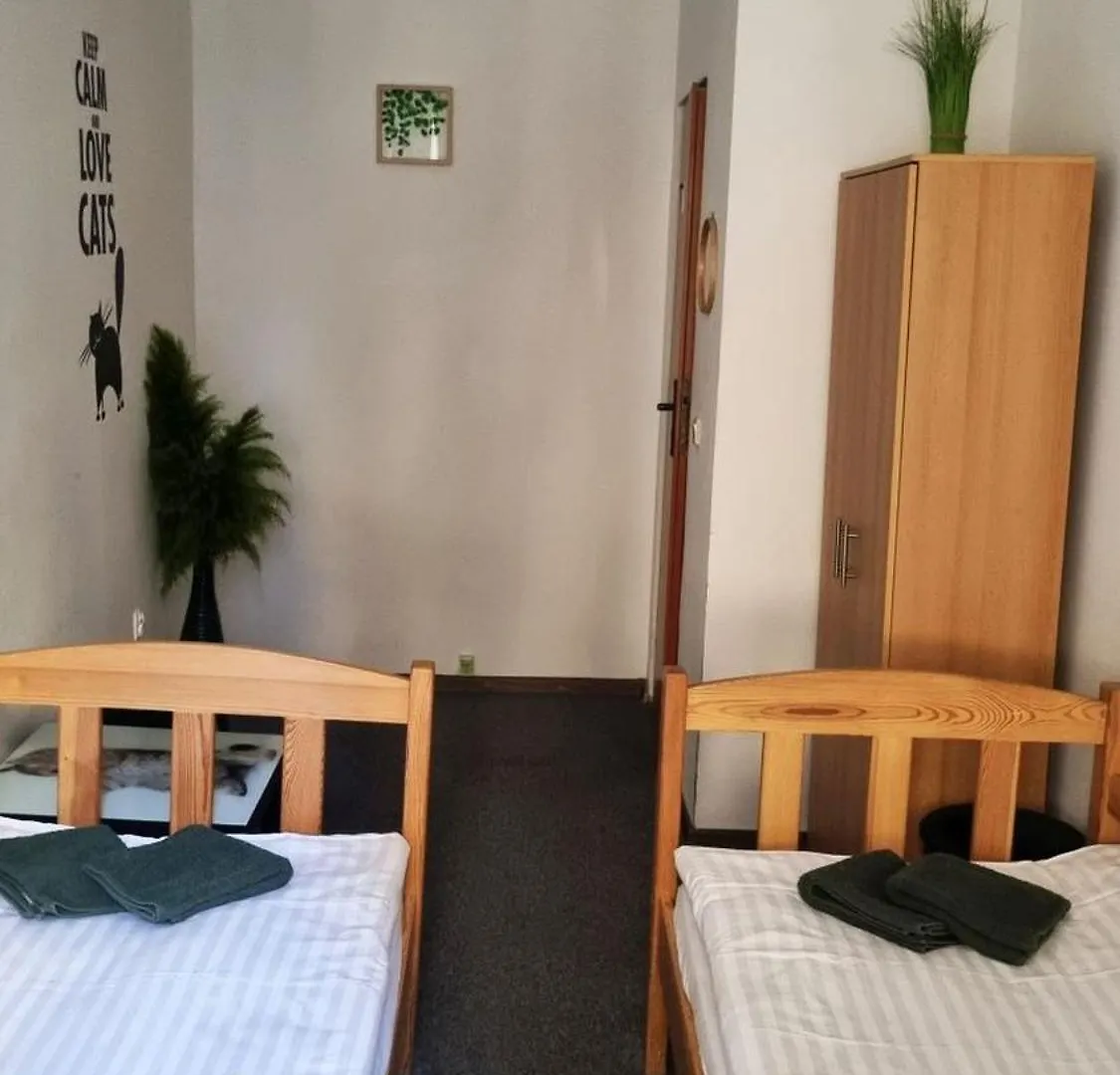 Green Cat Rooms Krakau Polen