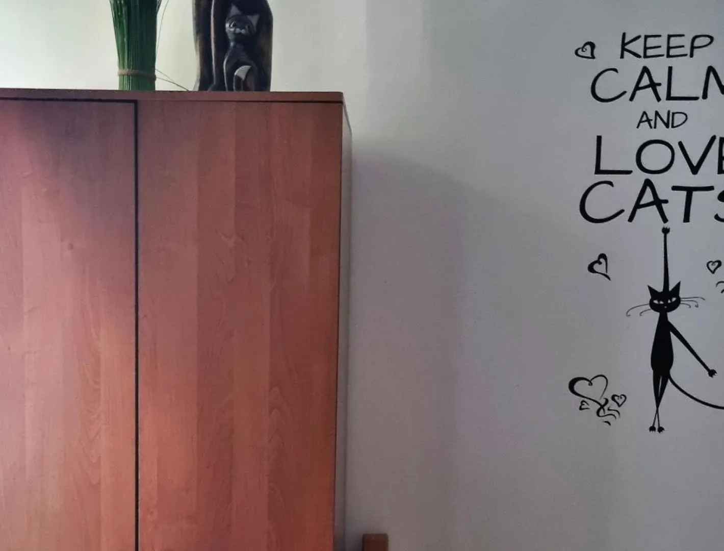 Green Cat Rooms Krakow