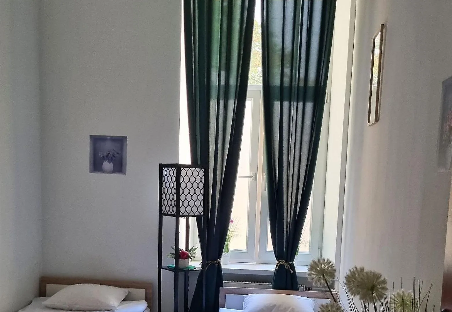 Hostel Green Cat Rooms Krakow Poland