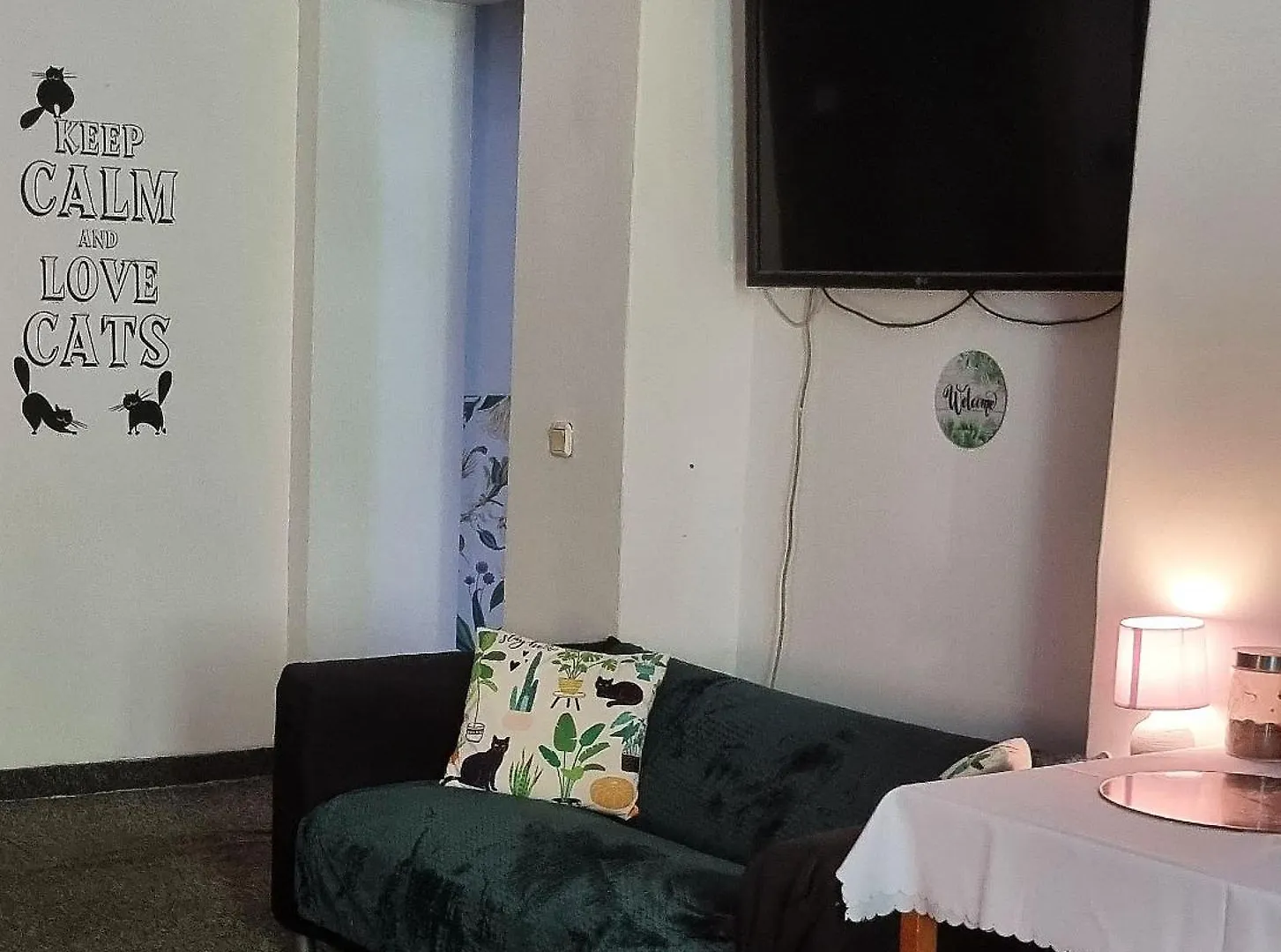 Green Cat Rooms Krakow